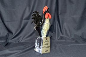 Menderes Tekstil’e DENİB’den Ödül